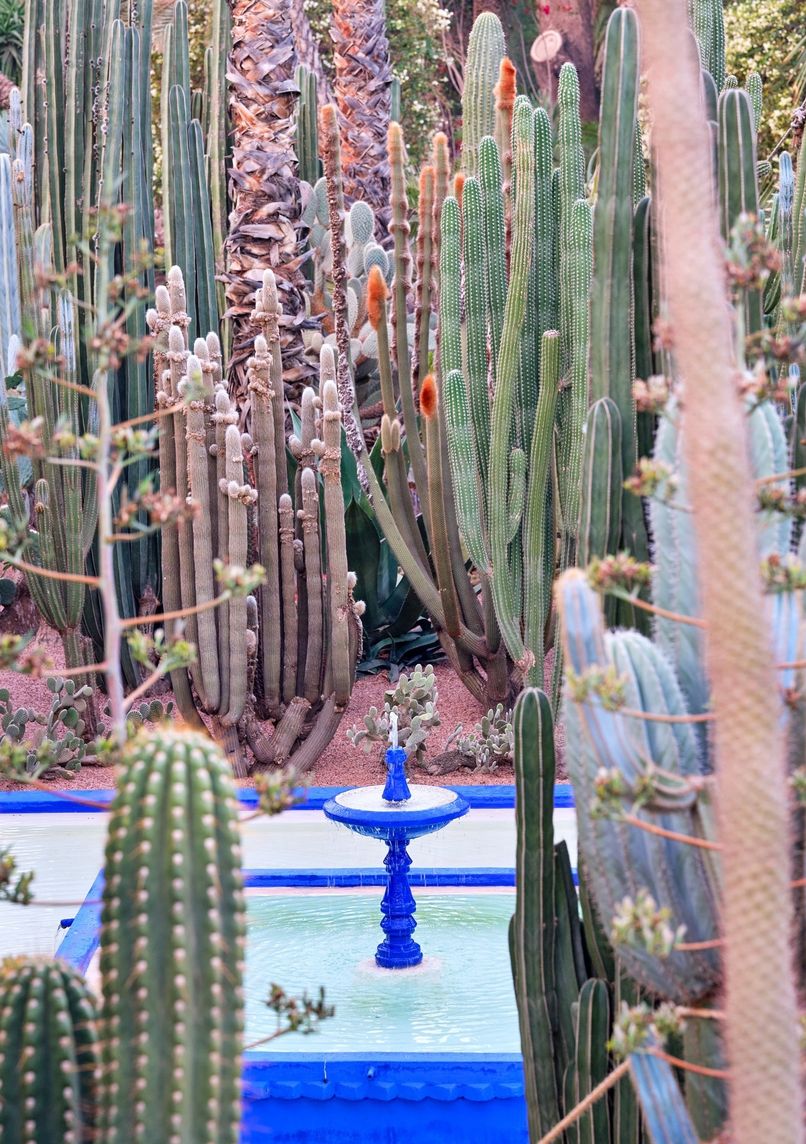 Le Jardin Majorelle Marrakech