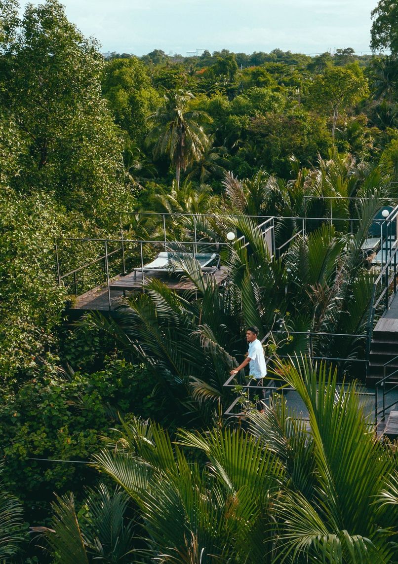 Bangkok Tree House