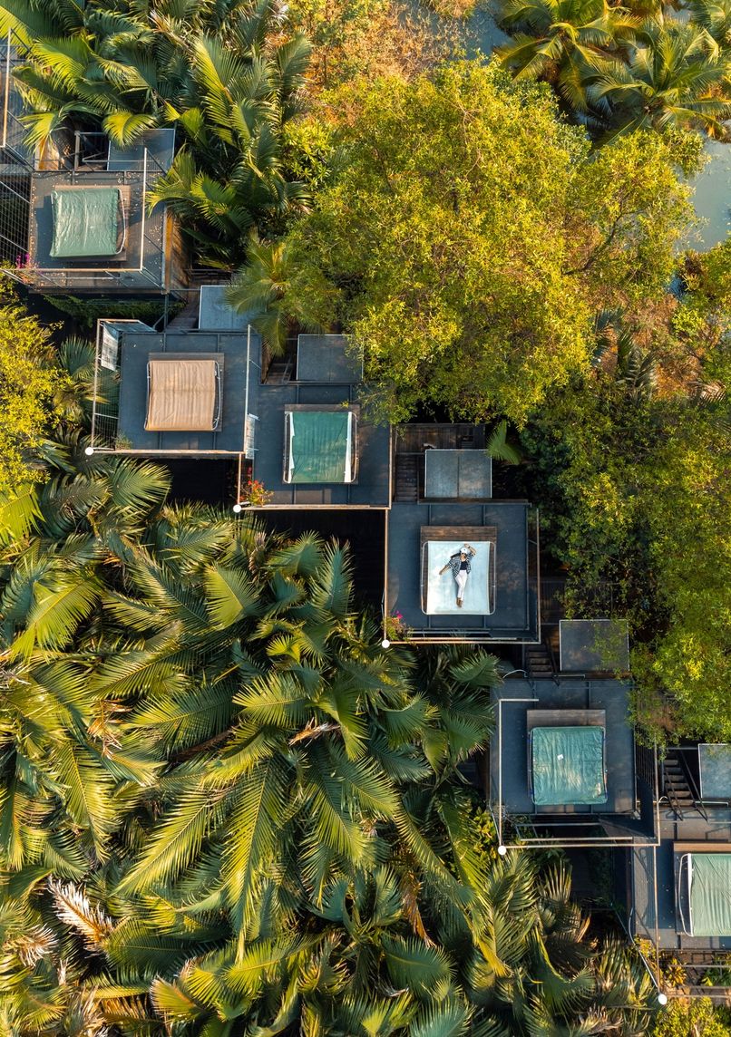 Bangkok Tree House