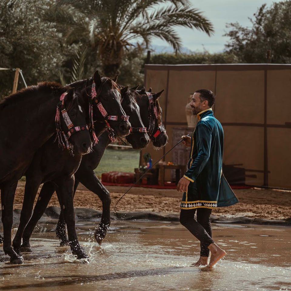« La Source des Chevaux » au Selman Marrakech : un après-midi entre cuisine marocaine et art équestre