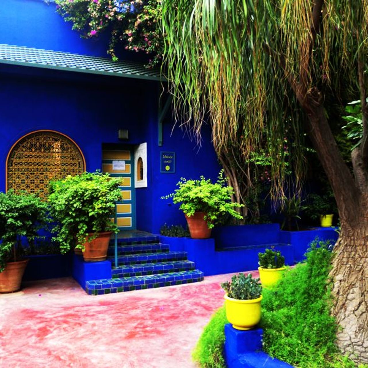 Jardin Majorelle : Visite guidée entre palmiers et bambous...