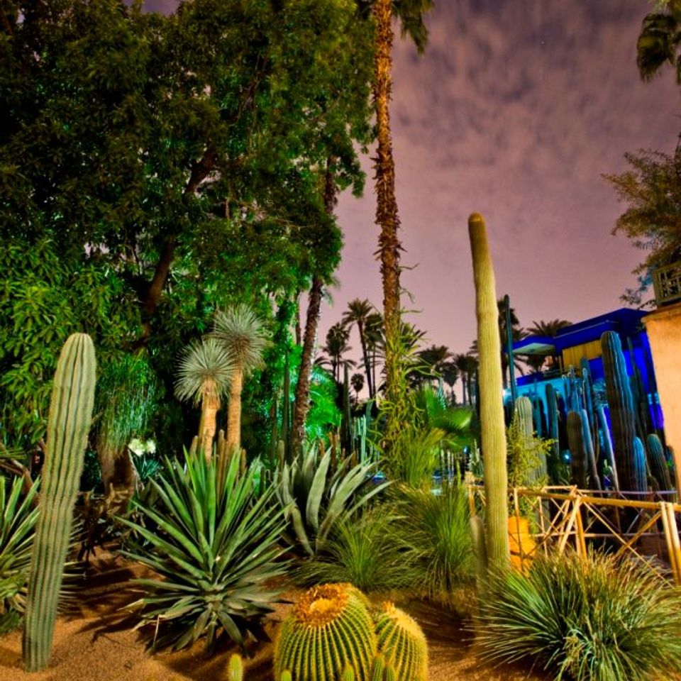 Le jardin Majorelle, un trésor dans la ville