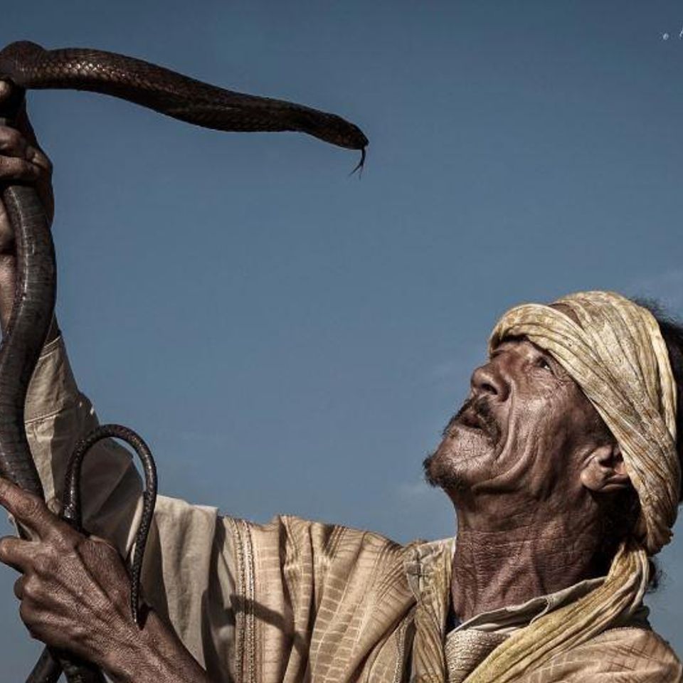 Trades of Jemaa el Fna Square through photographers' lenses