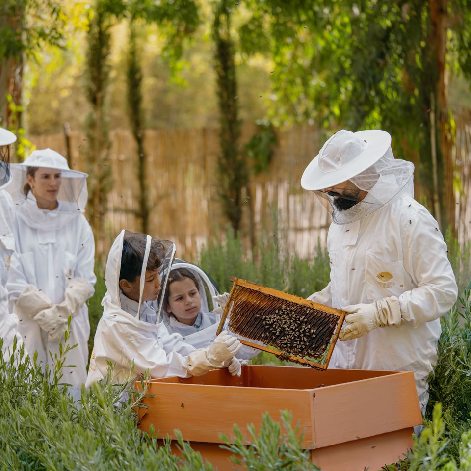 Master class sur le miel à Marrakech au Jardin Potager du Mandarin Oriental : atelier apiculture et expérience gastronomique