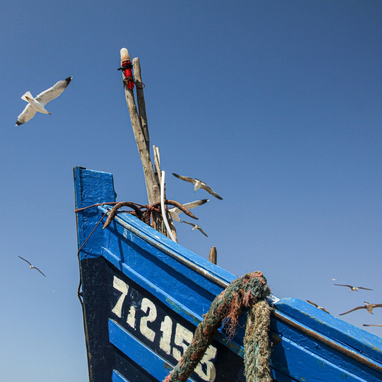 Essaouira