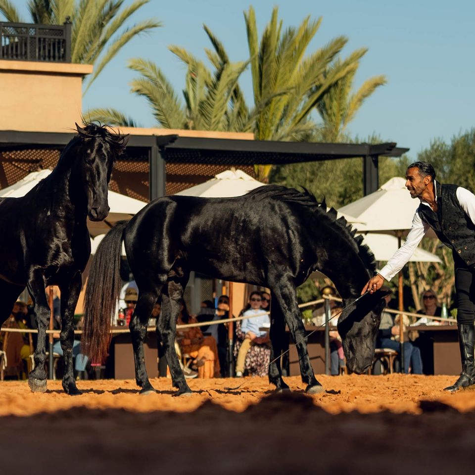 Brunch Eid Marrakech : Assyl au Selman Marrakech célèbre l’Eid avec une expérience gourmande et festive
