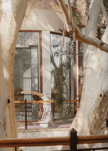 gallery-image-20
