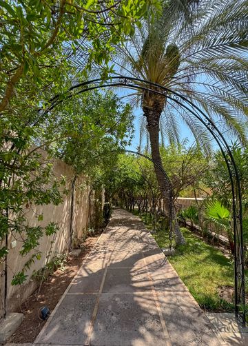 gallery-image-17