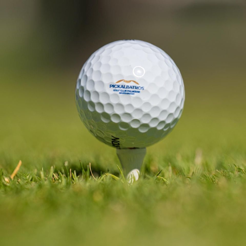 Swing, Play & Brunch : une journée golf et gourmandise au Pickalbatros Hotel du Golf Marrakech