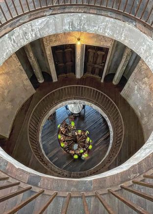 the_mustang_blu_image