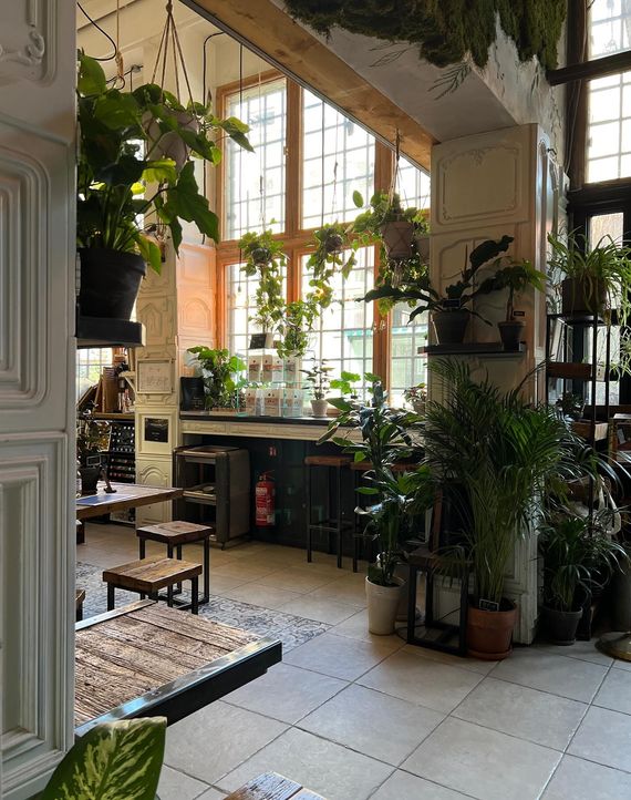 The Greens - Coffee & Plants - Berlin - Made in City Selection